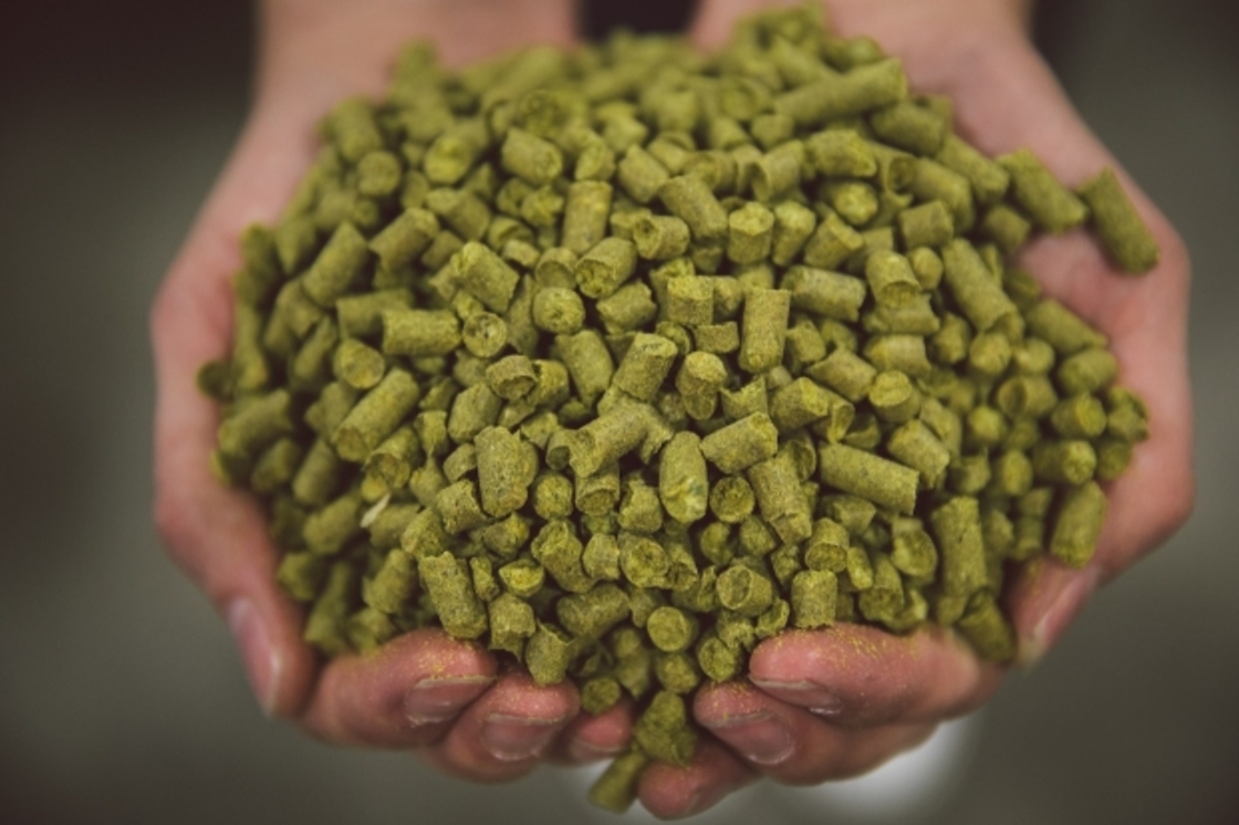hop pellets