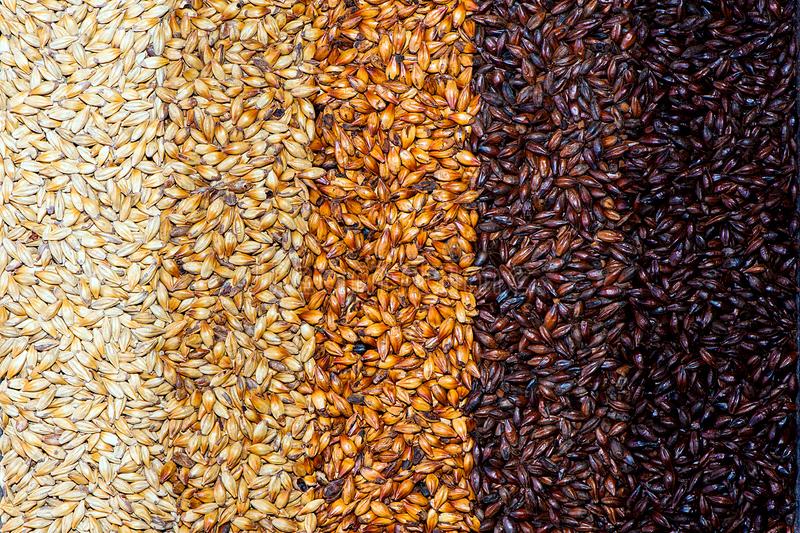 Malt colour-gradient